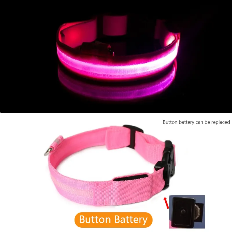 Collier de chien de LED