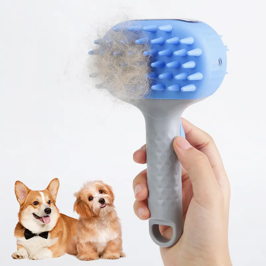 Brosse de toilettage