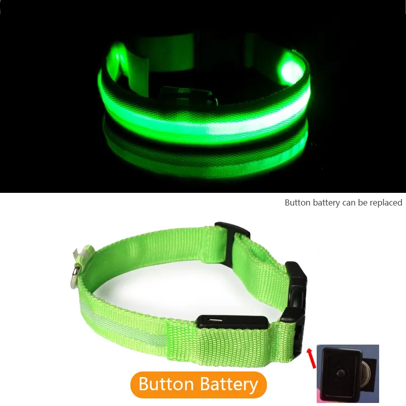 Collier de chien de LED