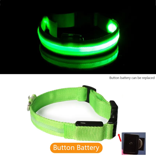 Collier de chien de LED