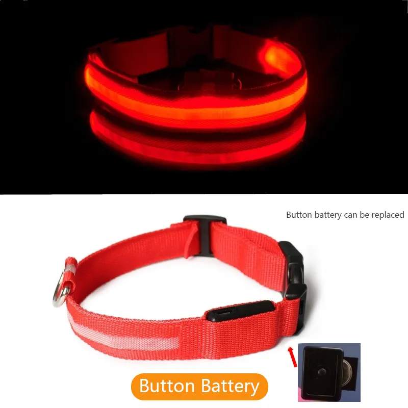 Collier de chien de LED